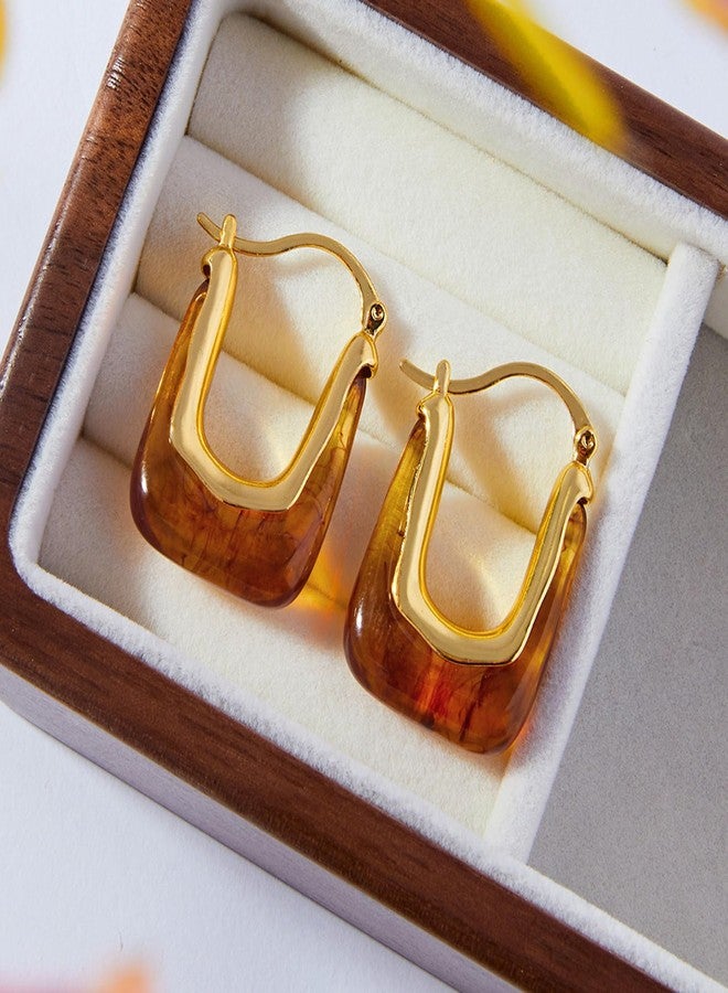 Novearring Brown Earrings for Women Acrylic Hoop Earings Brown and Gold Earring Tortoise Shell Jewelry Amber Bronze Hoop Earing Fall Accessories for Womens Fashion 2025 Trends - Image 4